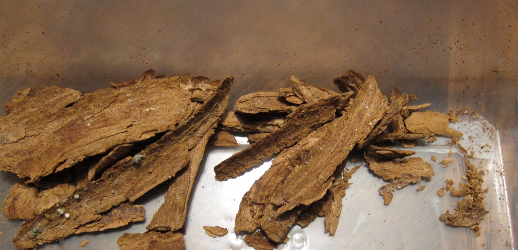 Dried strips of Tabernanthe iboga root bark